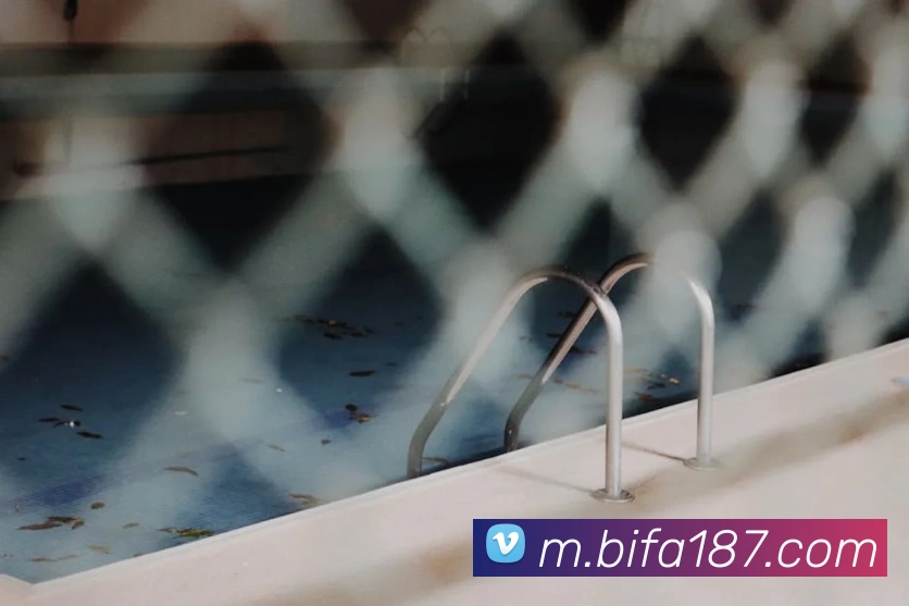 必发bifaAPP 封面图